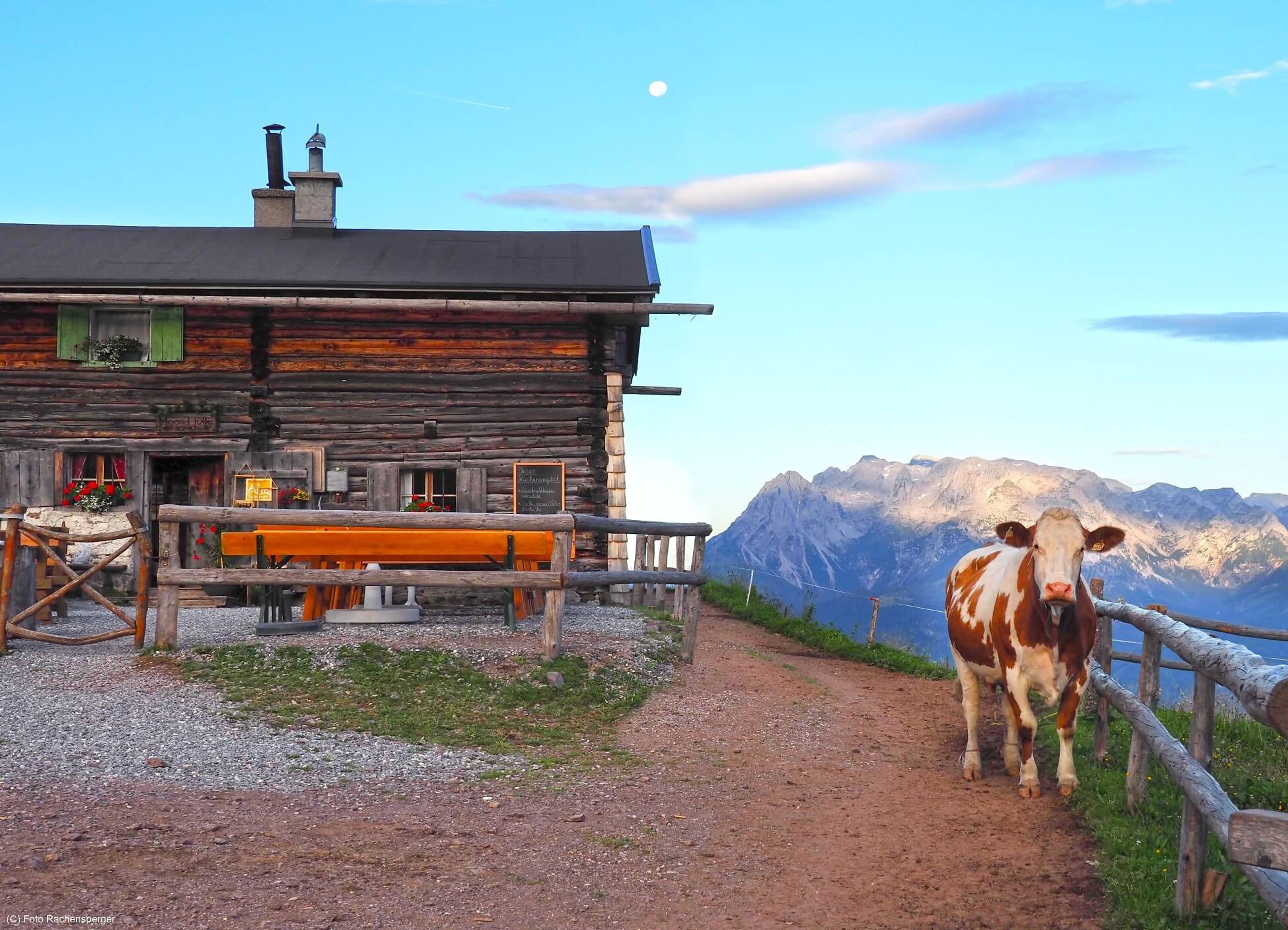 Mooshof - Appartement Heuboden - Image 5