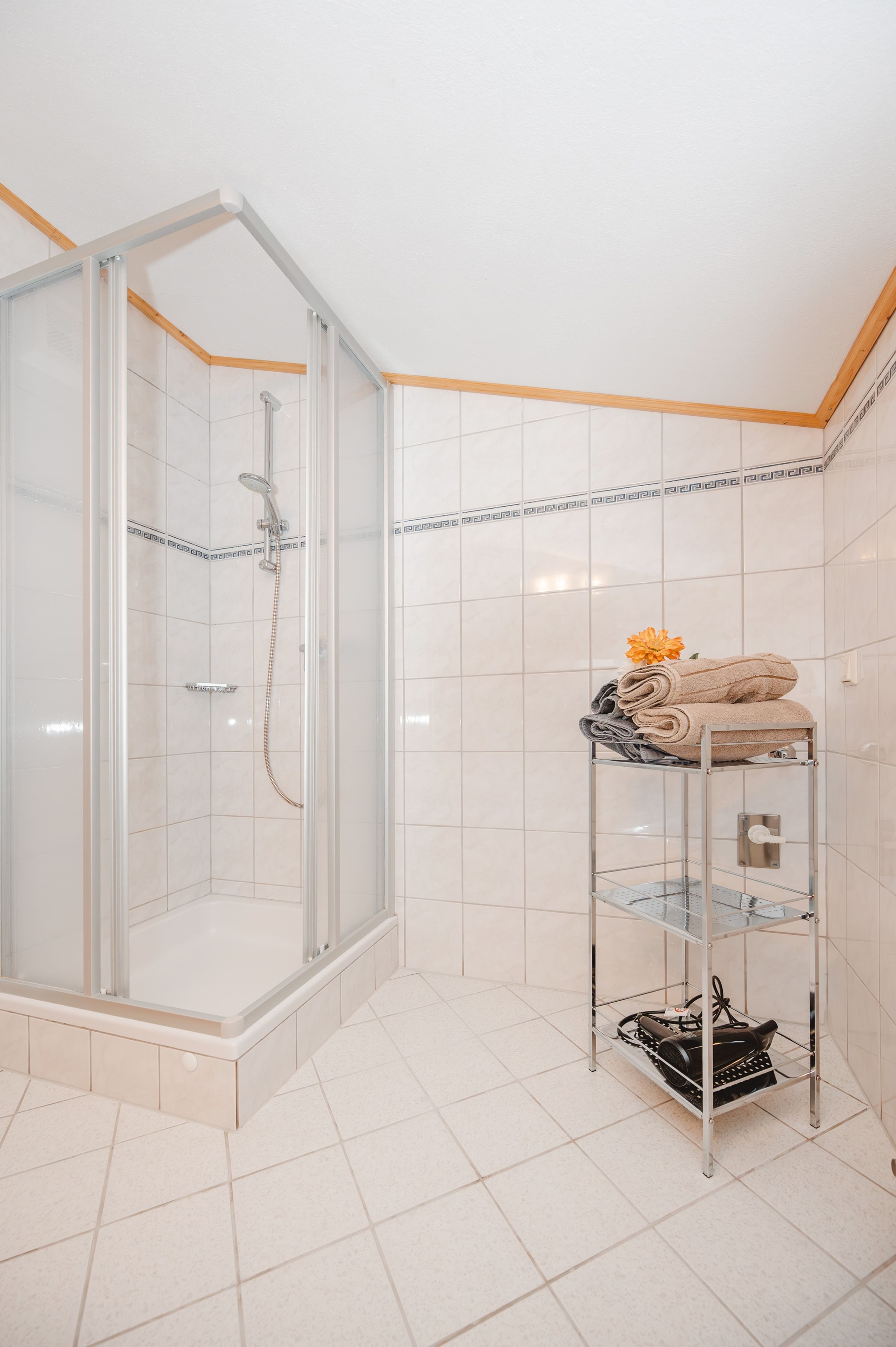 Mooshof - Appartement Hochkönig - 8